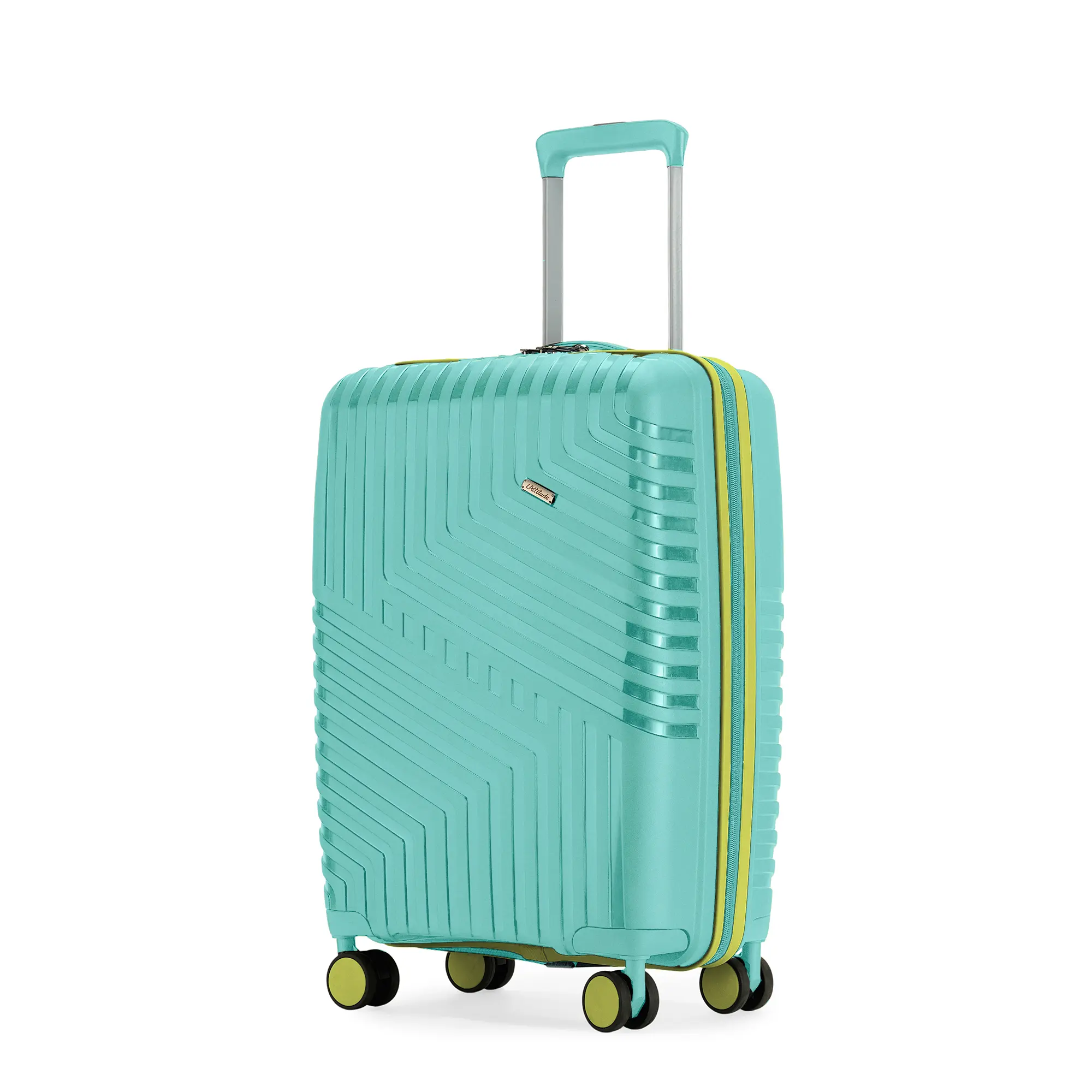 Cabin Luggage